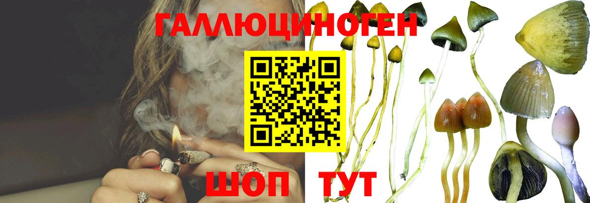 Моздок  Галлюциногенные грибы Psilocybine cubensis  Галлюциногенные грибы Psilocybe  Вход с VPN 